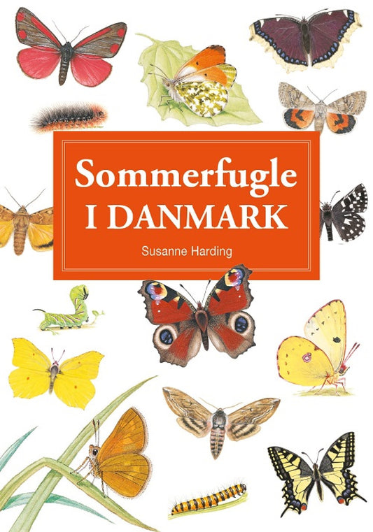 SOMMERFUGLE I DANMARK