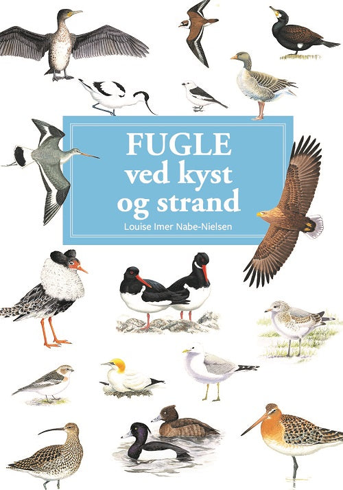 FUGLE VED KYST OG STRAND
