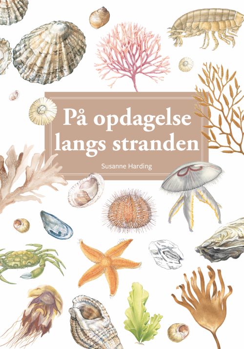 PÅ OPDAGELSE LANGS STRANDEN