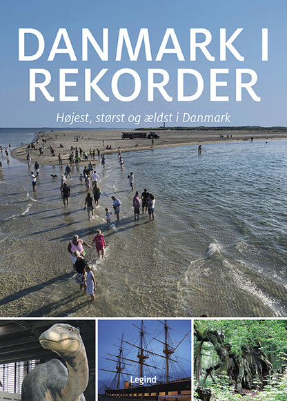DANMARK I REKORDER