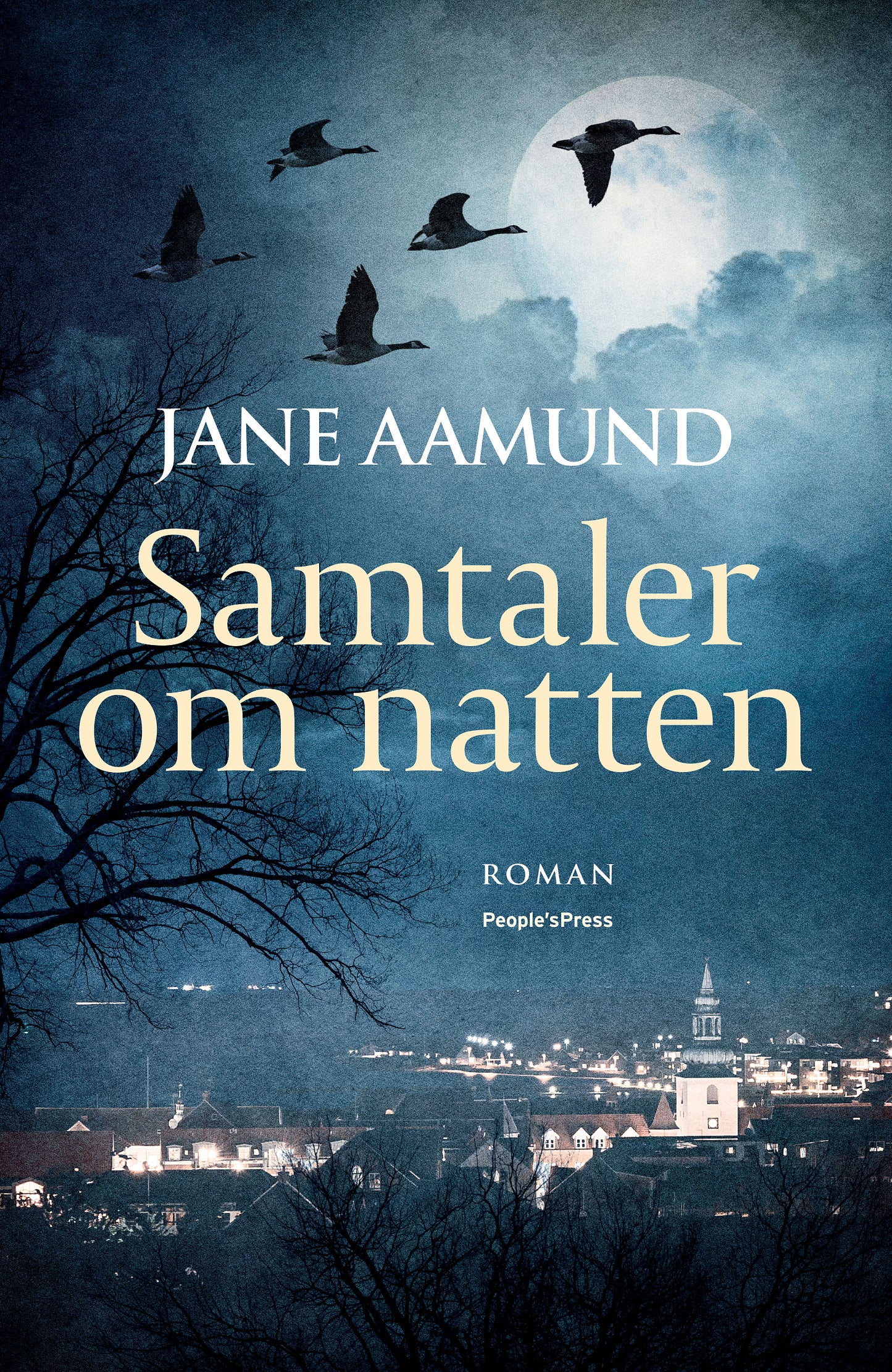 SAMTALER OM NATTEN