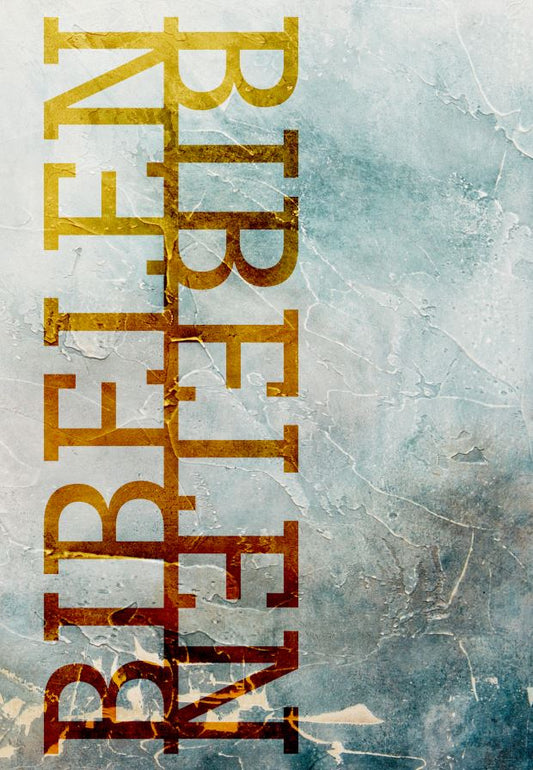 BIBELEN PÅ HVERDAGSDANSK, PAPERBACK, FROST