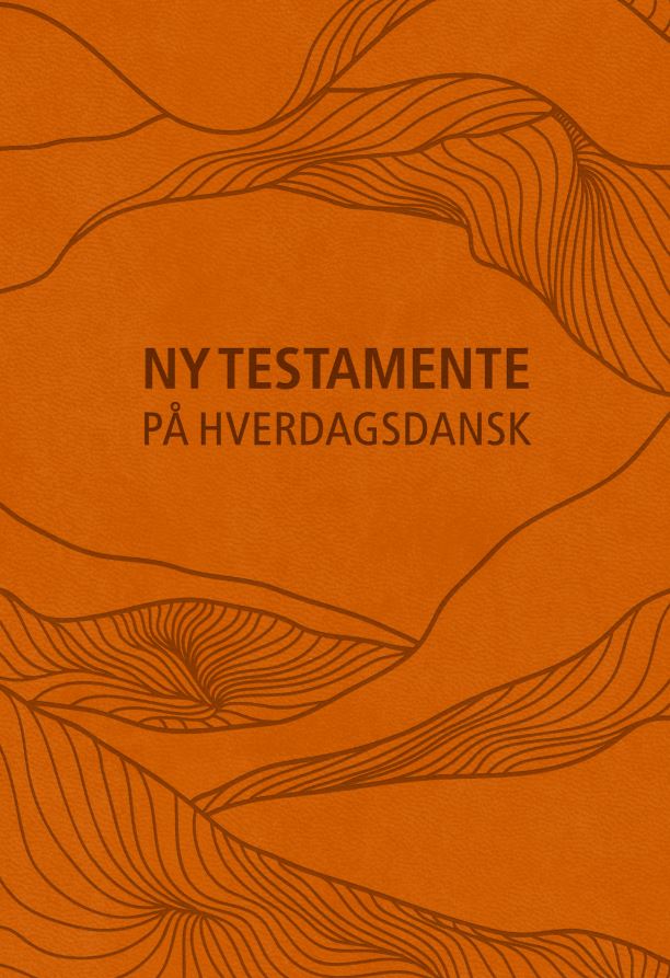 NY TESTAMENTE - PÅ HVERDAGSDANSK, KUNSTLÆDER