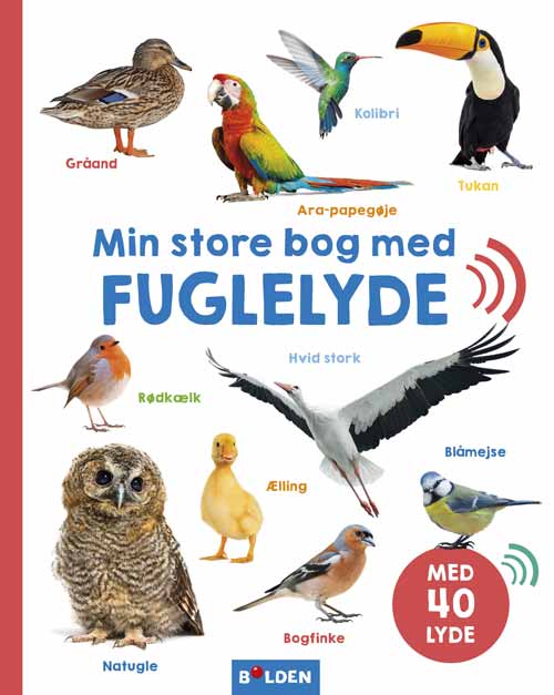 MIN STORE BOG MED FUGLELYDE
