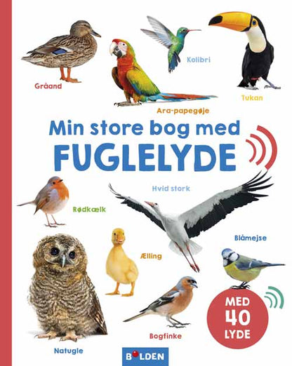 MIN STORE BOG MED FUGLELYDE