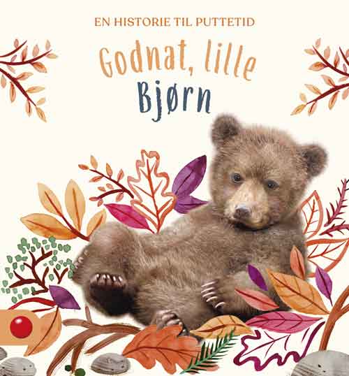 GODNAT, LILLE BJØRN