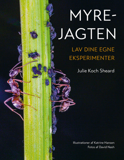 MYREJAGTEN