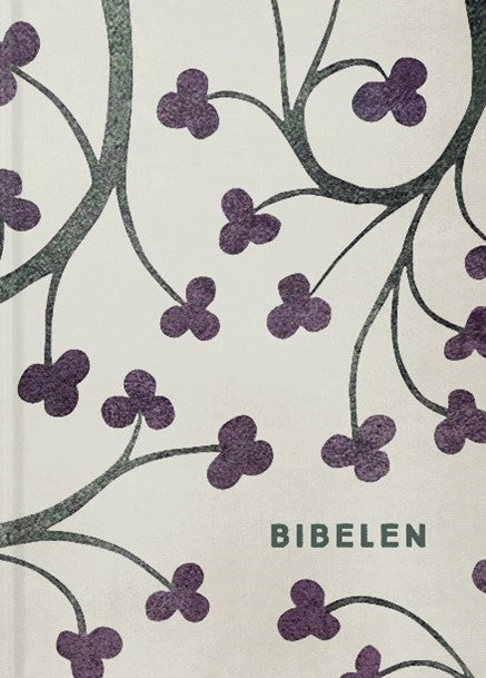 BIBELEN MED APOKRYFER