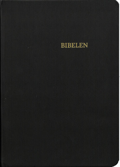 BIBELEN I SORT SKIND