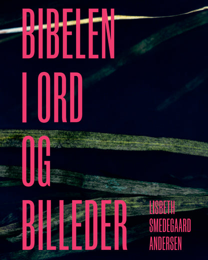 BIBELEN I ORD OG BILLEDER