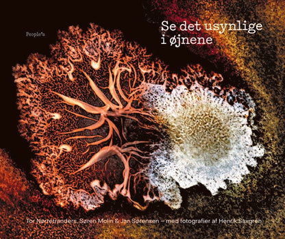 SE DET USYNLIGE I ØJNENE