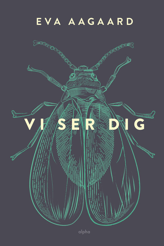 VI SER DIG