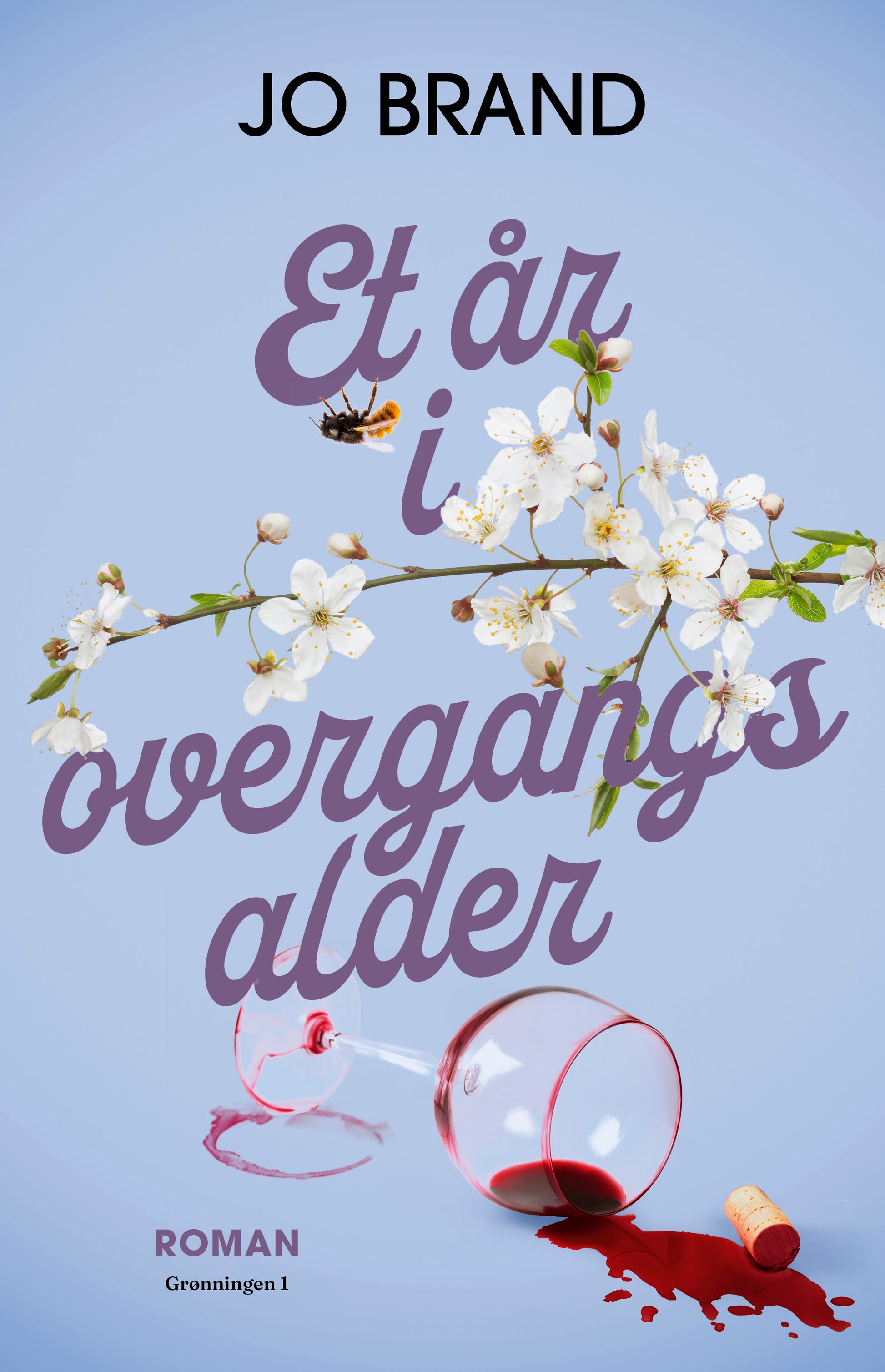 ET ÅR I OVERGANGSALDER