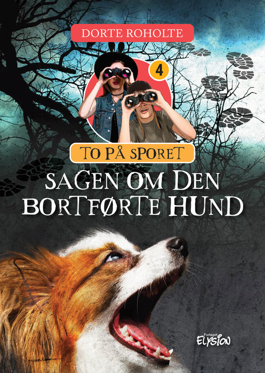 SAGEN OM DEN BORTFØRTE HUND