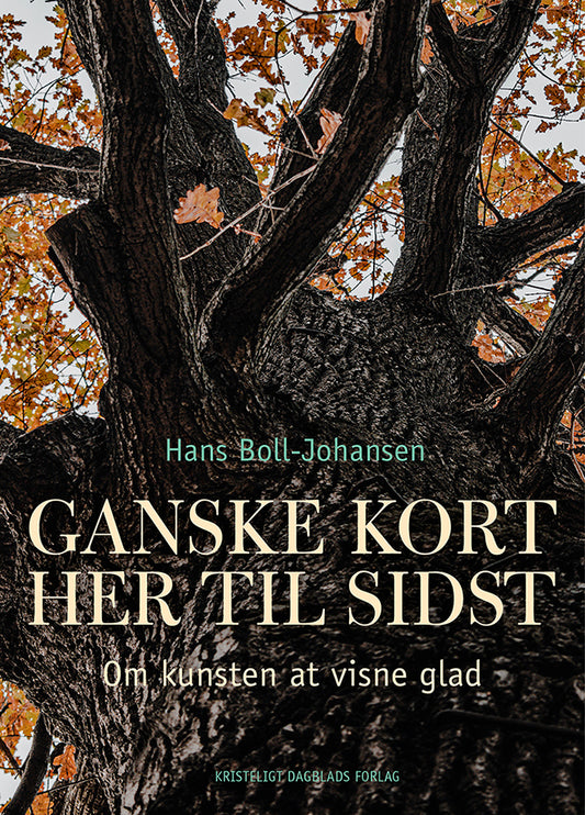GANSKE KORT HER TIL SIDST