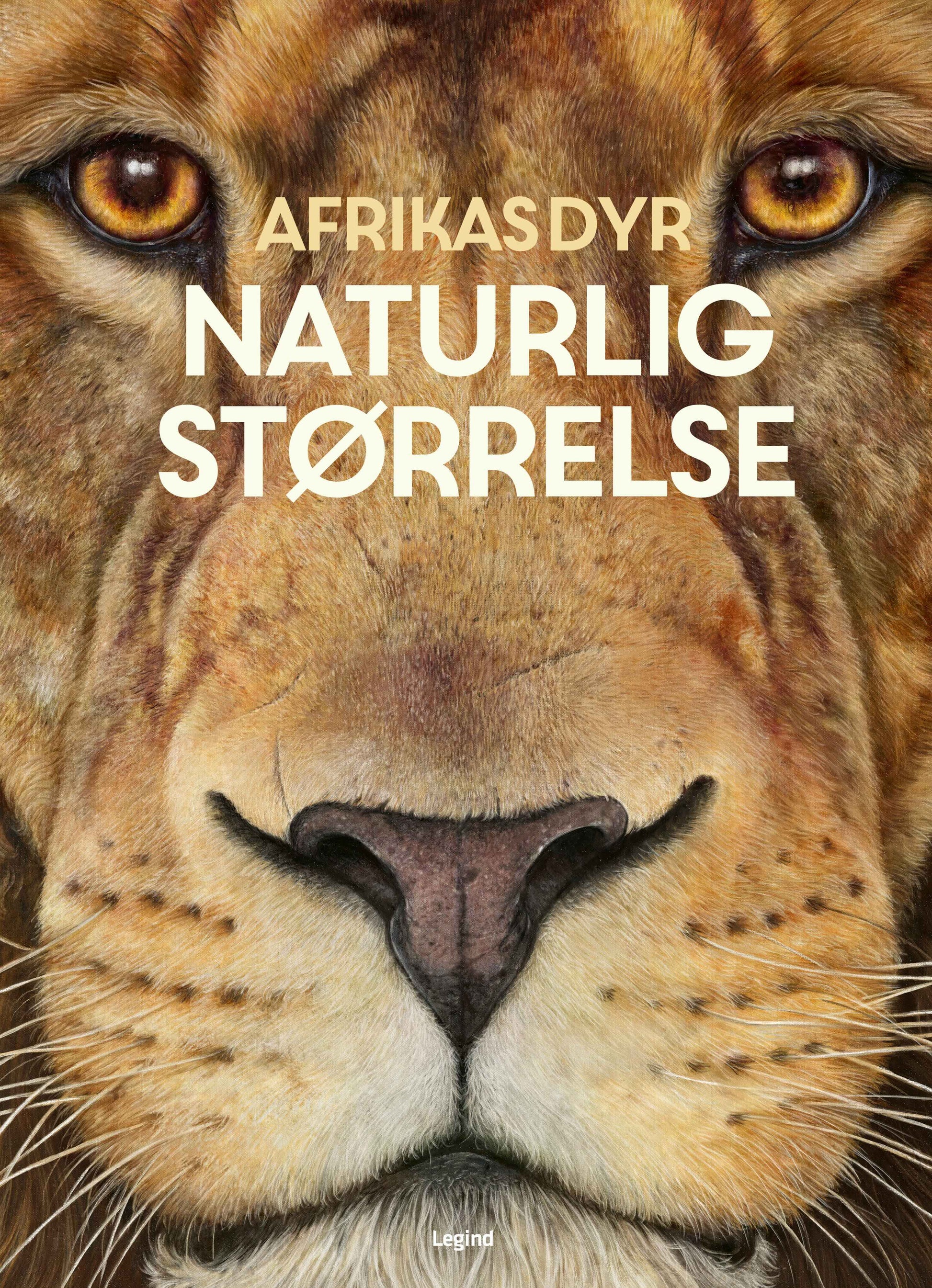 AFRIKAS DYR - I NATURLIG STØRRELSE