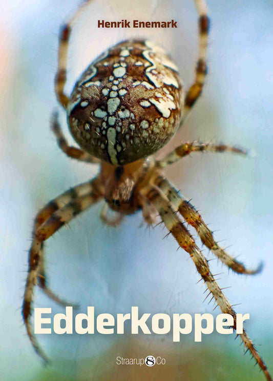 SPIL OG LÆS - EDDERKOPPER