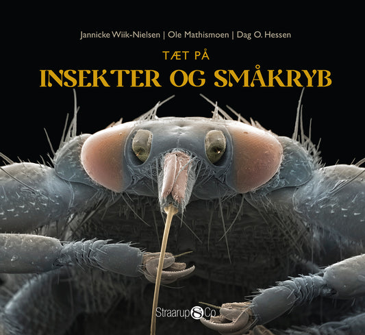 TÆT PÅ INSEKTER OG SMÅKRYB