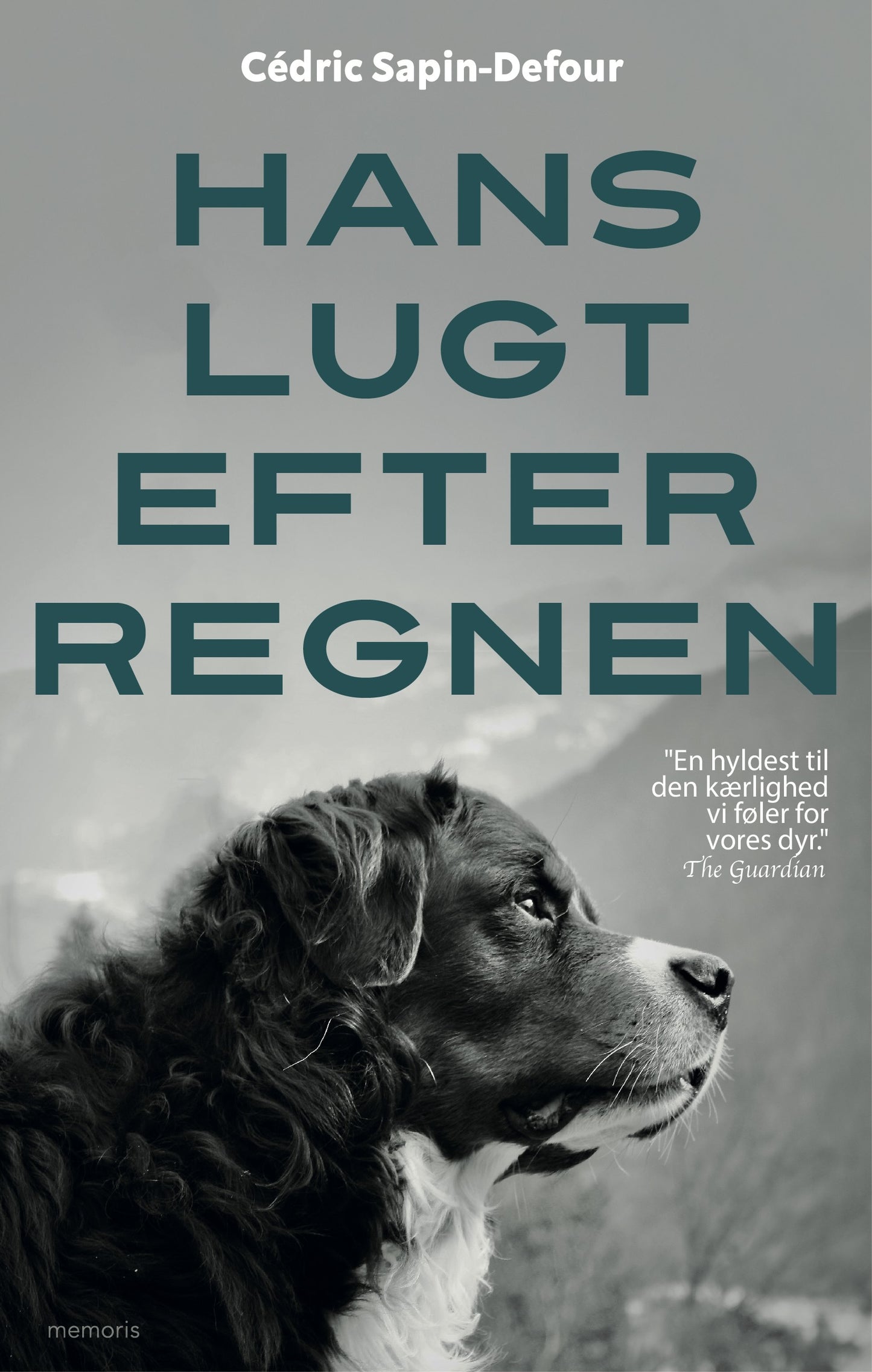 HANS LUGT EFTER REGNEN