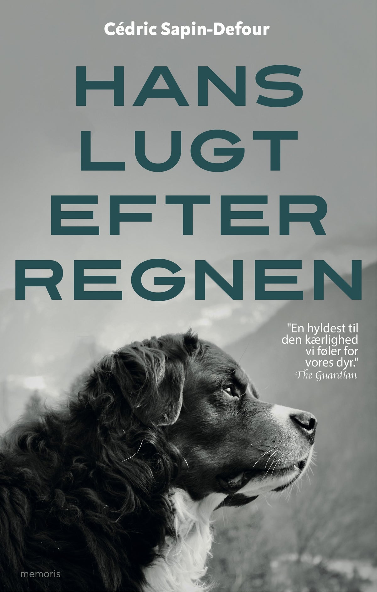 HANS LUGT EFTER REGNEN