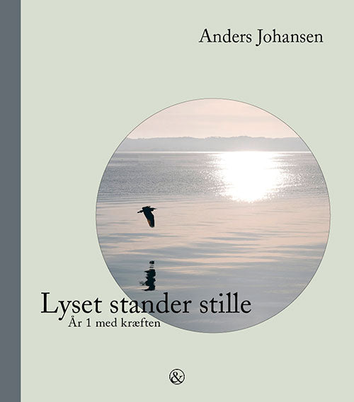 LYSET STANDER STILLE