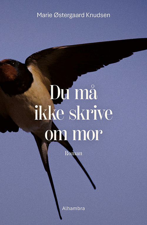DU MÅ IKKE SKRIVE OM MOR