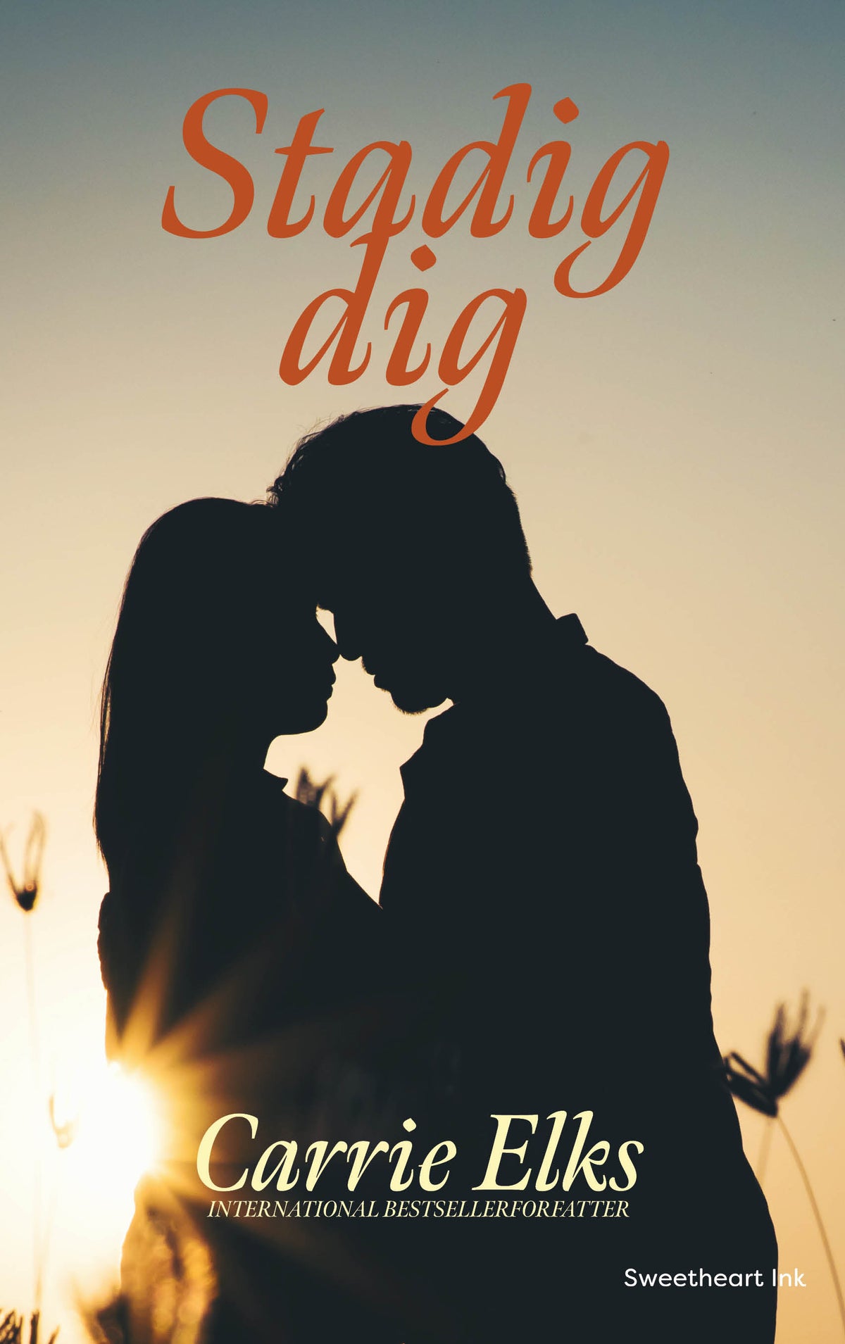 STADIG DIG