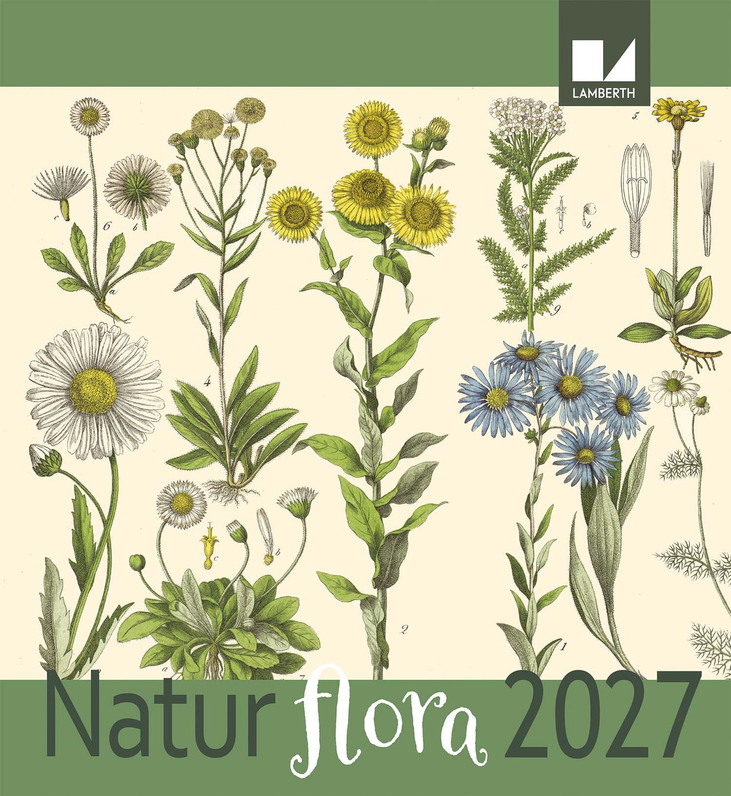 FLORA KALENDER 2027