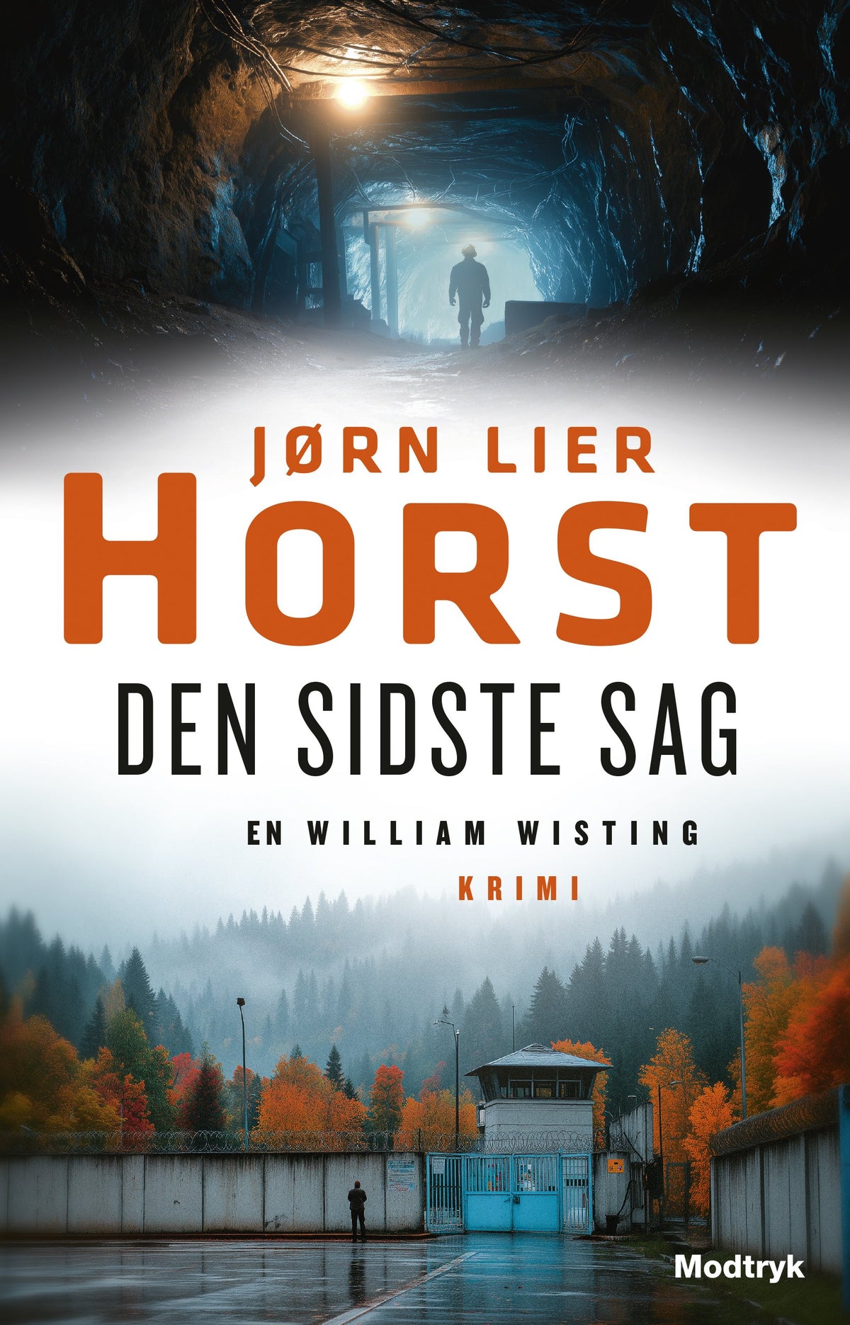 DEN SIDSTE SAG