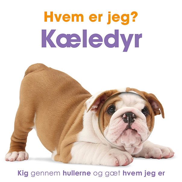 HVEM ER JEG! KÆLEDYR