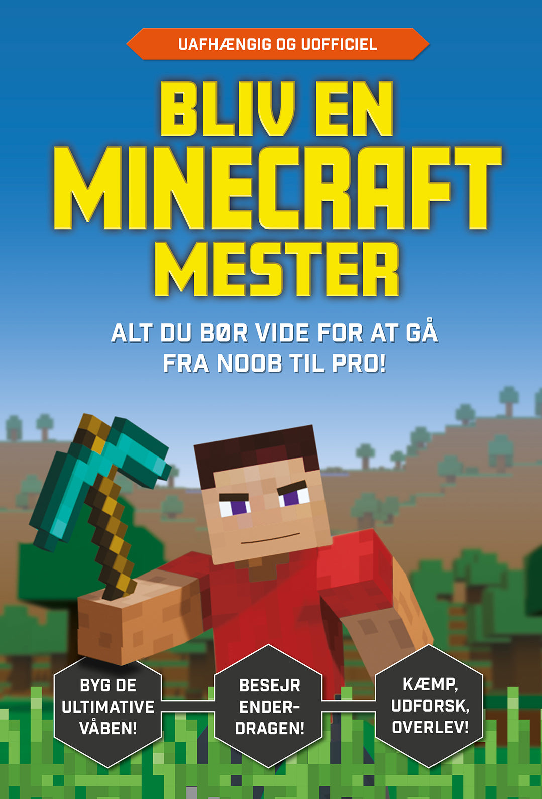 BLIV EN MINECRAFT-MESTER