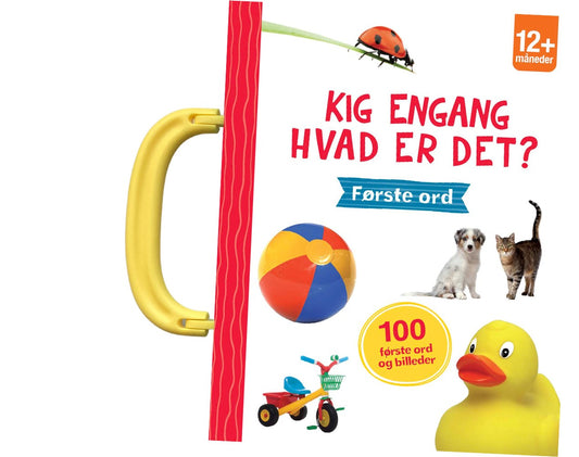 KIG ENGANG - HVAD ER DET?FØRSTE ORD