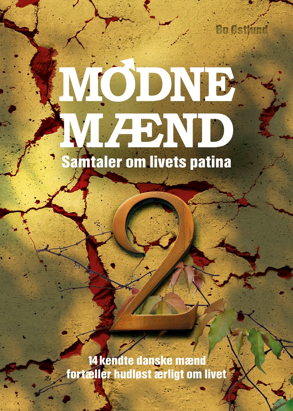 MODNE MÆND 2