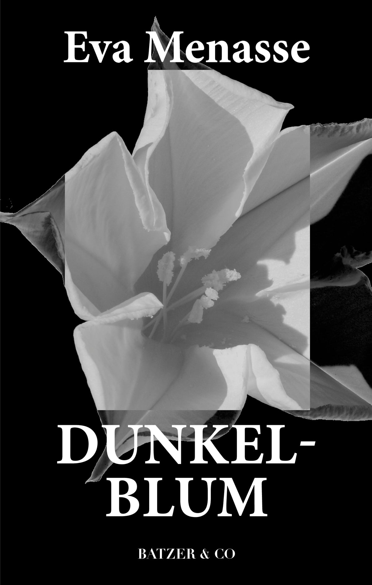 DUNKELBLUM