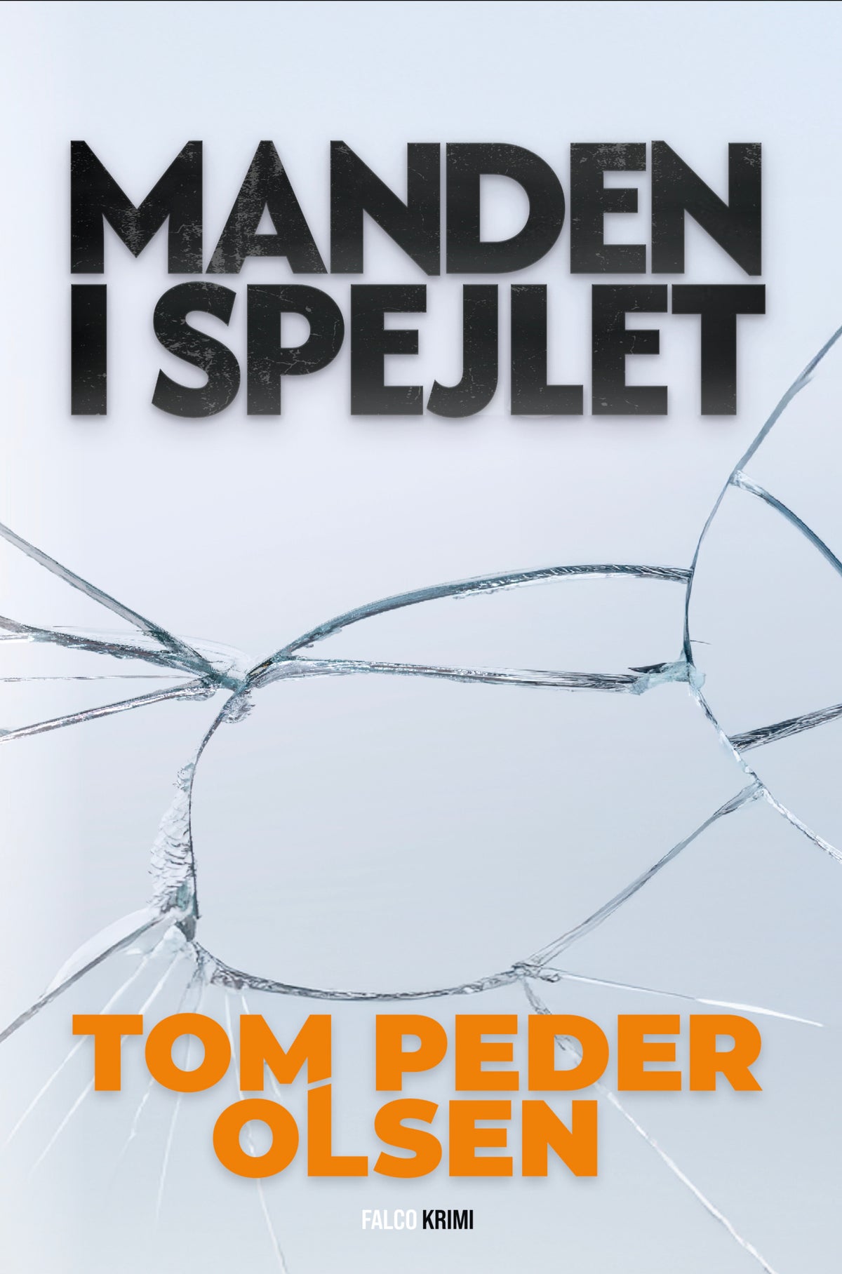 MANDEN I SPEJLET