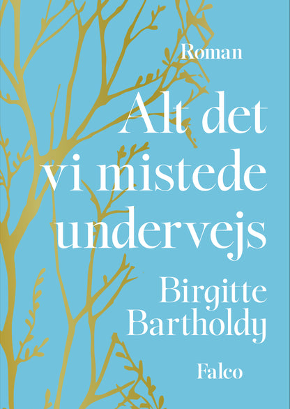 ALT DET VI MISTEDE UNDERVEJS