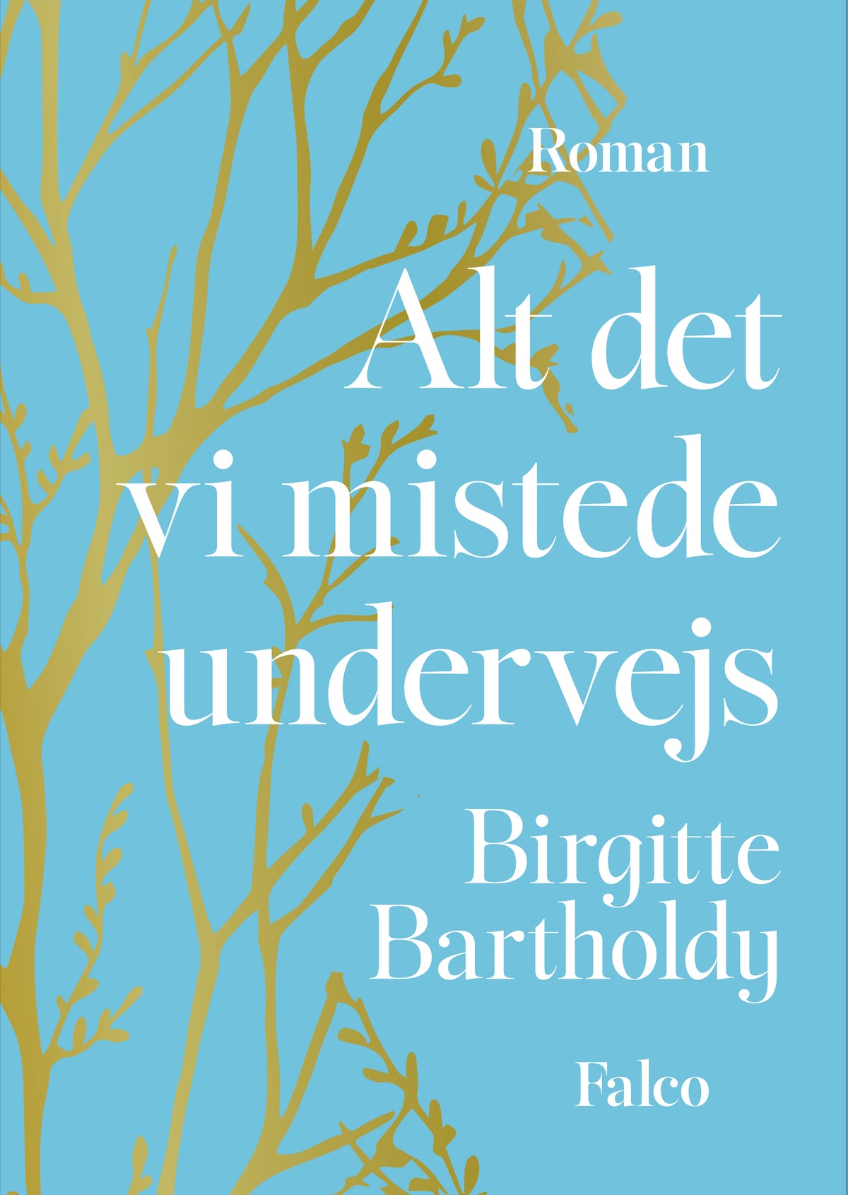 ALT DET VI MISTEDE UNDERVEJS