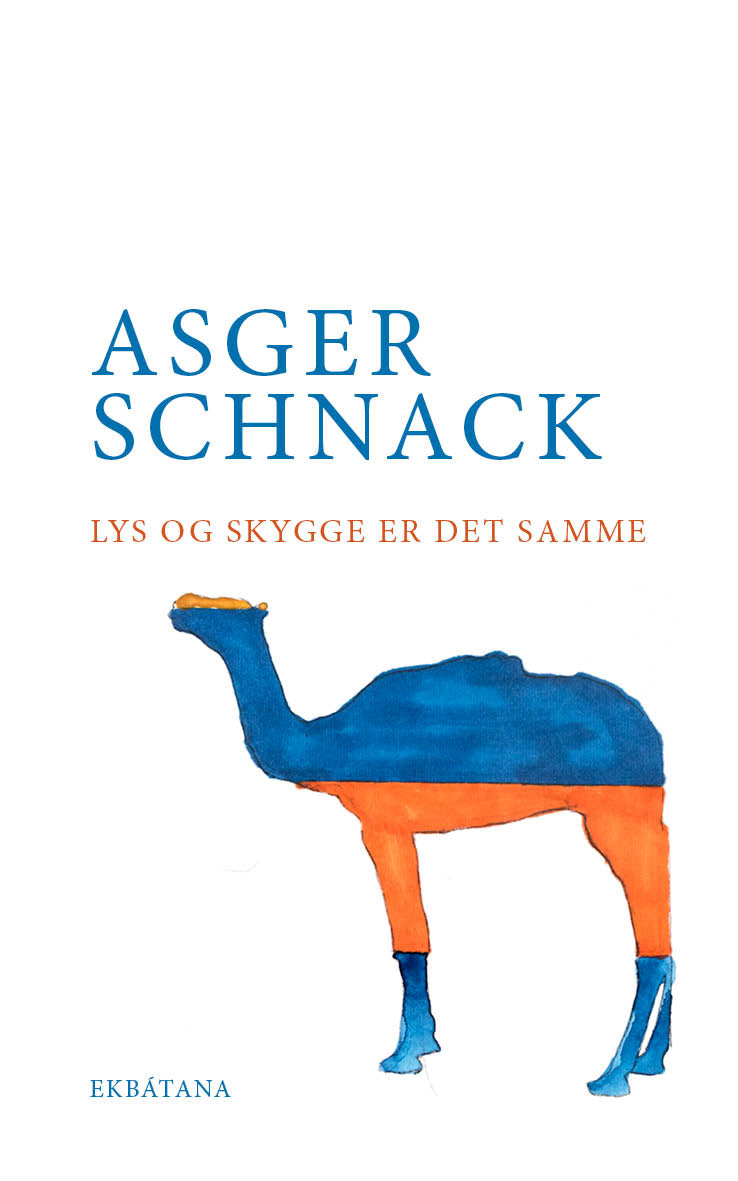 LYS OG SKYGGE ER DET SAMME