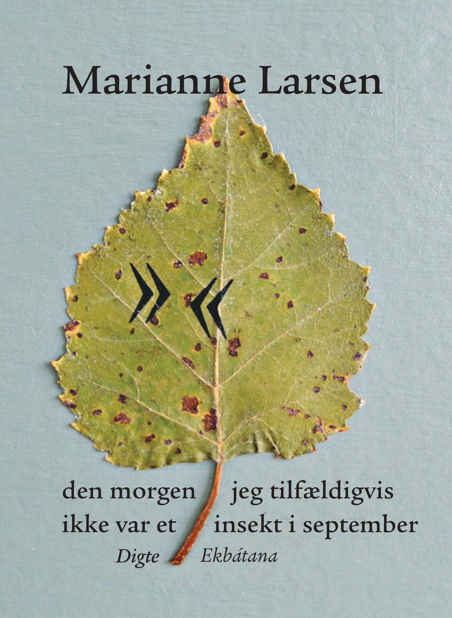 DEN MORGEN JEG TILFÆLDIGVIS IKKE VAR ET INSEKT I S