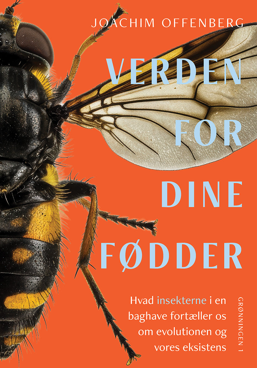 VERDEN FOR DINE FØDDER