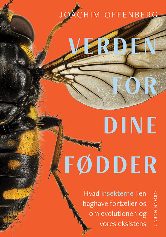 VERDEN FOR DINE FØDDER