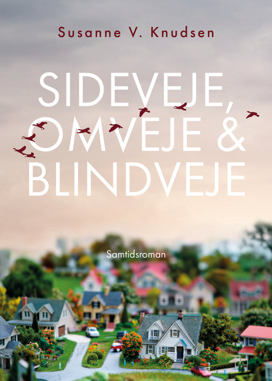 SIDEVEJE, OMVEJE & BLINDVEJE