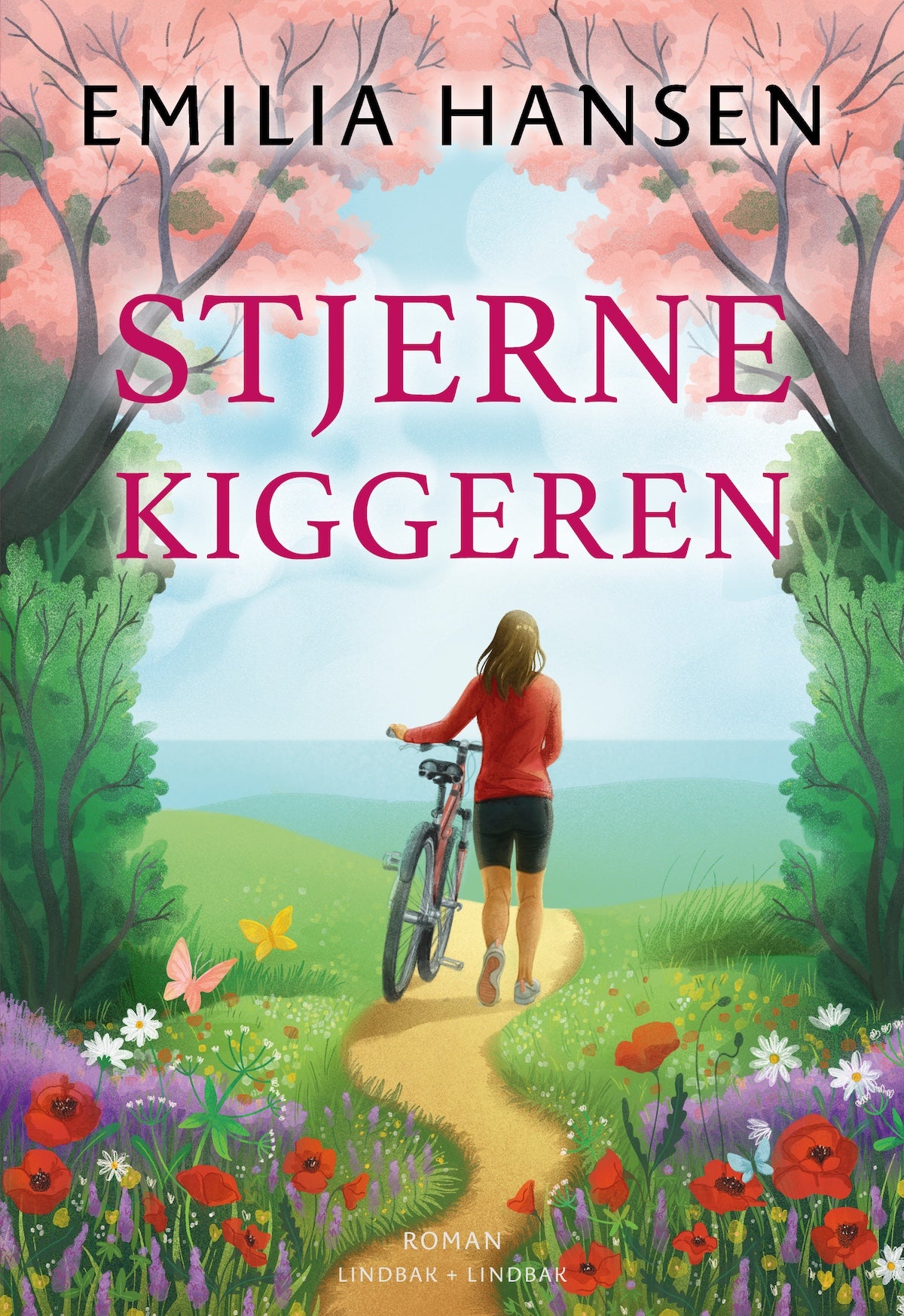 STJERNEKIGGEREN