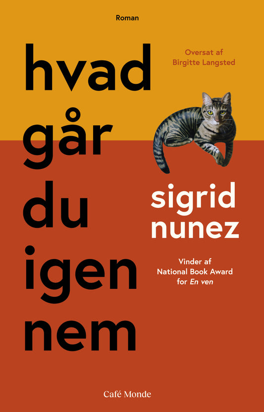 HVAD GÅR DU IGENNEM