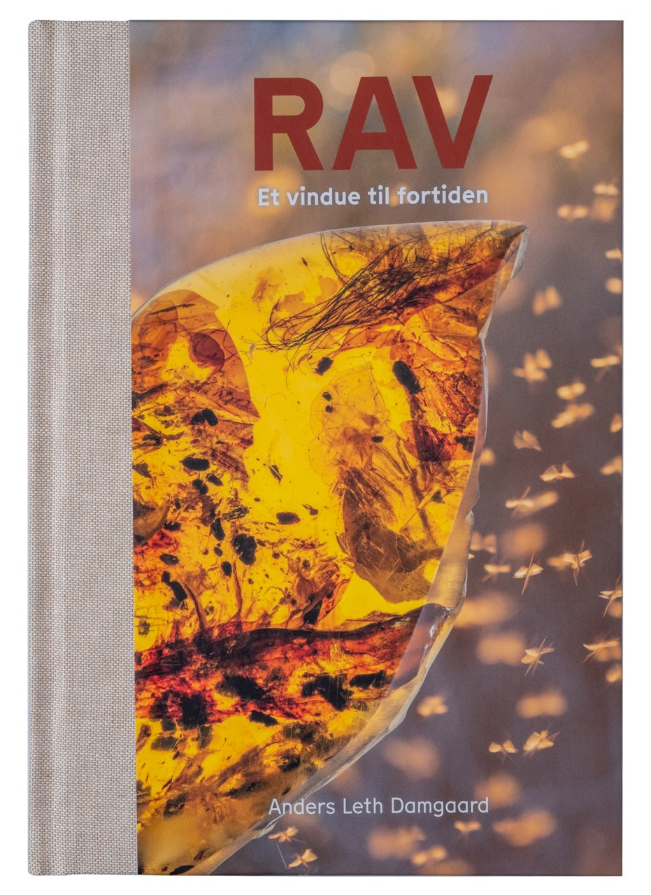 RAV - ET VINDUE TIL FORTIDEN