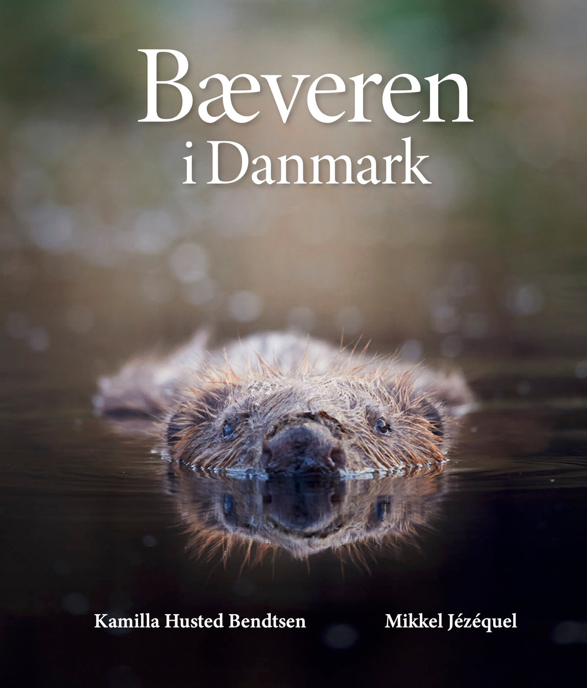 BÆVEREN I DANMARK