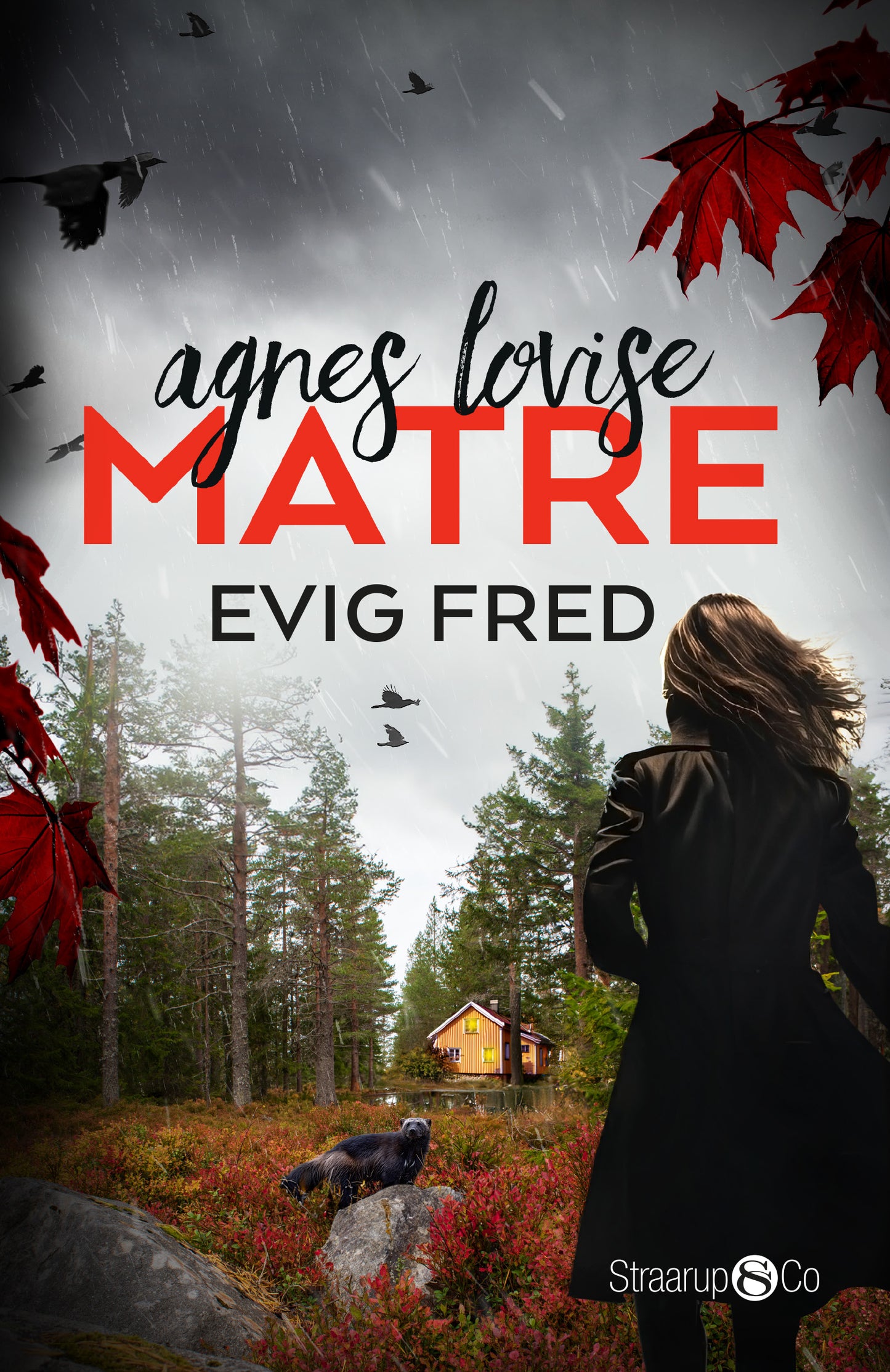 EVIG FRED