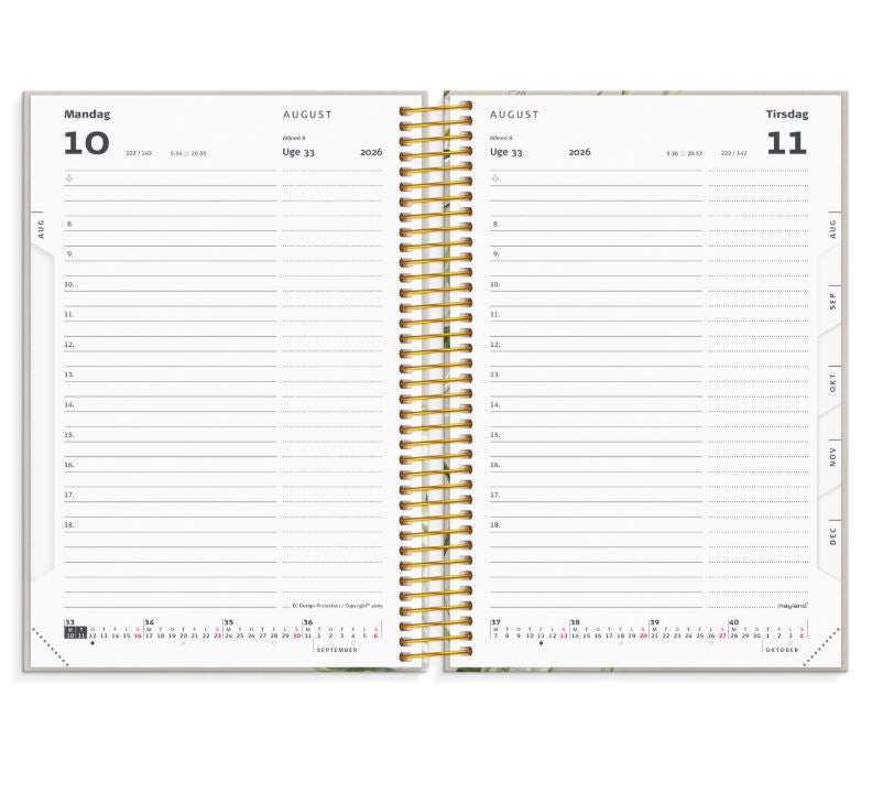 STUDIE STOR STORY DAGKALENDER 2026/2027