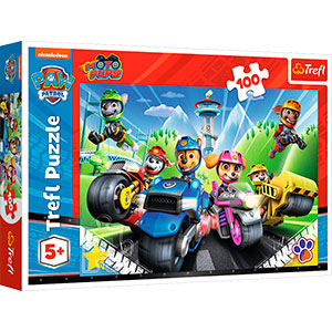 PAW PATROL 100 B