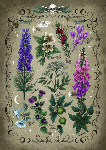 RAVENSBURGER TOXIC PLANTS 1000P